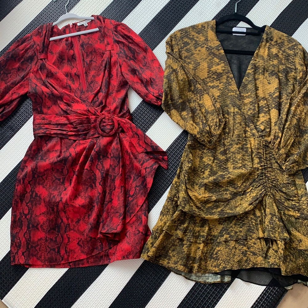 Animal Print Dress bundle